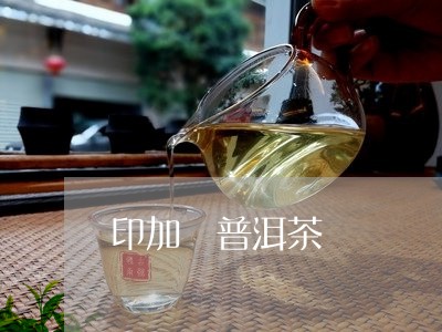 印加 普洱茶/2023042885092